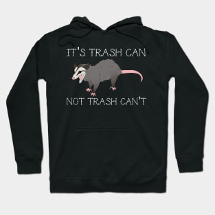 Possum Motivation Hoodie